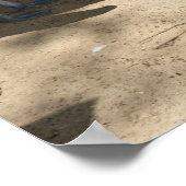 ペリカンサンクチュアリ，ポスター ポスター (角)