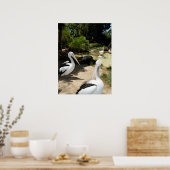 ペリカンサンクチュアリ，ポスター ポスター (キッチン)