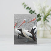 ペリカンシーバードミニマリストのカラーポップ・アートの写真 ポストカード (スタンド正面)