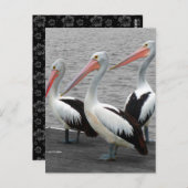 ペリカンシーバードミニマリストのカラーポップ・アートの写真 ポストカード (正面/裏面)