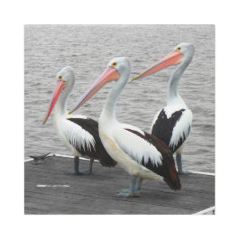 ペリカンシーバードミニマリストのカラーポップ・アートの写真 メタルプリント