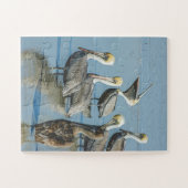 ペリカンズバード自然ビーチ特大 ジグソーパズル (横)