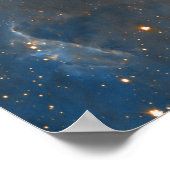 ペリカンネブライオン化前面20x30 (29x29) ポスター (角)