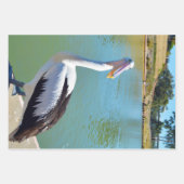 ペリカンバックチャット、ラッピング紙シート ラッピングペーパーシート (正面2)