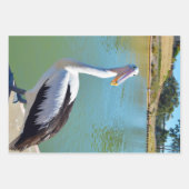 ペリカンバックチャット、ラッピング紙シート ラッピングペーパーシート (正面)