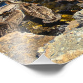 ペリカンバーキング – マリーナデル・レイ(カリフォルニア州) フォトプリント (角)