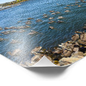 ペリカンバーキング – マリーナデル・レイ（カリフォルニア州） フォトプリント            (角)