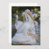 ペリカンパイルホリデーカード シーズンカード (正面/裏面)