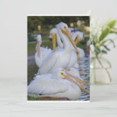 ペリカンパイルホリデーカード シーズンカード (スタンド正面)