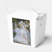 ペリカンパイル用化粧箱 フェイバーボックス (裏面サイド)