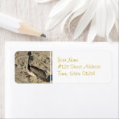 ペリカンビーチの宛名ラベル ラベル (インサイチュ)