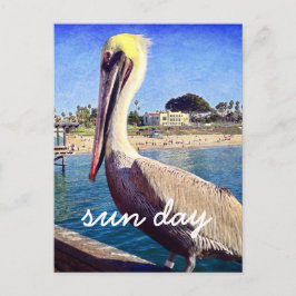ペリカンビーチの鳥の写真 太陽の日 スタイリッシュなスクリプト ポストカード