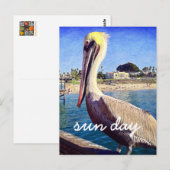 ペリカンビーチの鳥の写真 太陽の日 スタイリッシュなスクリプト ポストカード (正面/裏面)