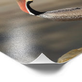 ペリカンヘッドスロー フォトプリント            (角)