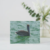 ペリカンペリカンポストカルテ ポストカード (スタンド正面)