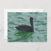 ペリカンペリカンポストカルテ ポストカード (正面/裏面)