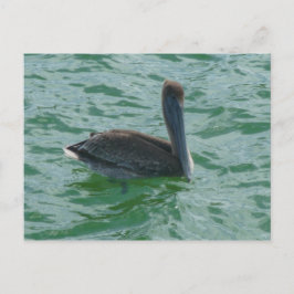 ペリカンペリカンポストカルテ ポストカード