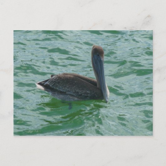ペリカンペリカンポストカルテ ポストカード (正面)