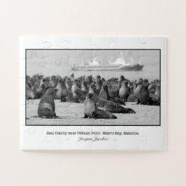 ペリカンポイント付近のシールコロニー ジグソーパズル