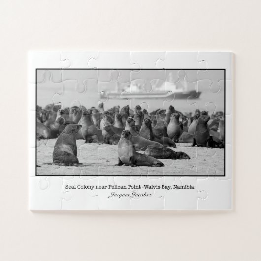 ペリカンポイント付近のシールコロニー ジグソーパズル (横)