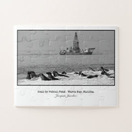 ペリカンポイント付近のシールコロニー ジグソーパズル