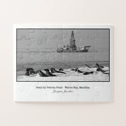 ペリカンポイント付近のシールコロニー ジグソーパズル (横)