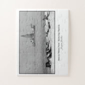 ペリカンポイント付近のシールコロニー ジグソーパズル (縦)