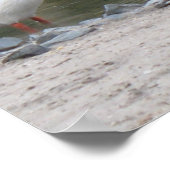 ペリカンポスタープリント ポスター (角)