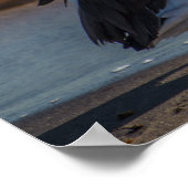 ペリカンポスター ポスター (角)