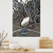 ペリカンポートレート ポスター (キッチン)