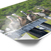 ペリカンレスト フォトプリント            (角)