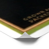 ペリカンレタス王 ポスター (角)