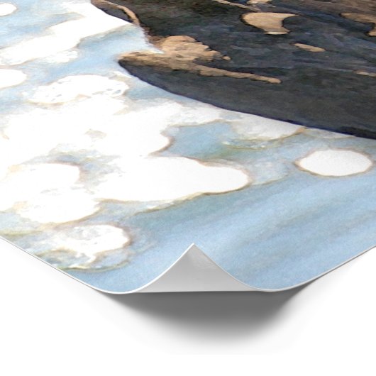 ペリカンロック ポスター (角)