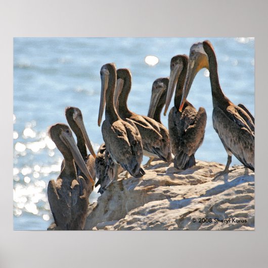 ペリカンロック ポスター (正面)