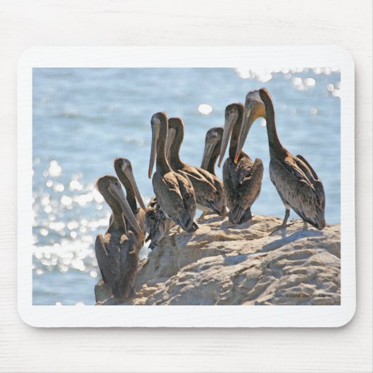 ペリカンロック マウスパッド (正面)