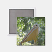 ペリカン付きマグおもしろいネット マグネット (正面/裏面)