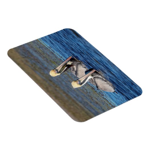 ペリカン対 マグネット (右側)