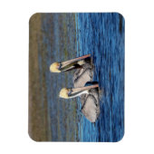 ペリカン対 マグネット (縦)