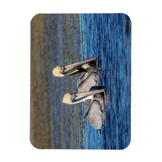 ペリカン対 マグネット (縦)