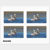 ペリカン対 長方形シール (シート)