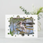 ペリカン招待状 (スタンド正面)