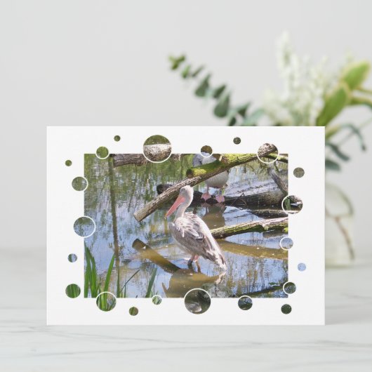 ペリカン招待状 (スタンド正面)