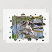 ペリカン招待状 (正面/裏面)