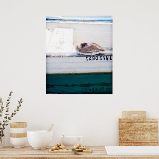 ペリカン昼寝 ポスター (キッチン)