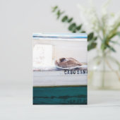 ペリカン昼寝 ポストカード (スタンド正面)