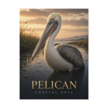 ペリカン沿岸湾岸の野生生物アニマル
