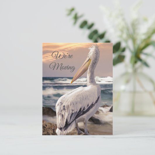 ペリカン海ビーチ沿岸変更アドレス移動 ポストカード (スタンド正面)