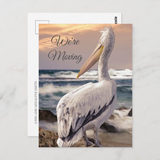 ペリカン海ビーチ沿岸変更アドレス移動 ポストカード (正面/裏面)