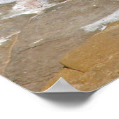 ペリカン海 ポスター (角)