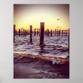 ペリカン湾 ポスター (正面)